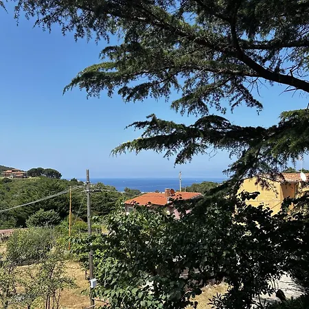Da Davide Marciana Marina (Isola d'Elba)